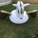 Inflatable Flying Horse  Perfect for Sunny Days  Jenjo Games - A