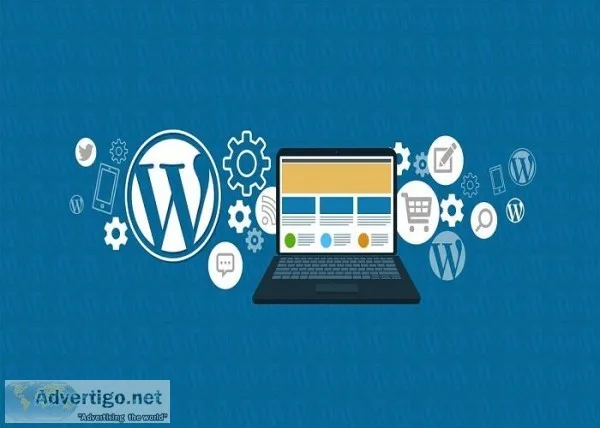 Wordpress Web Design Agency