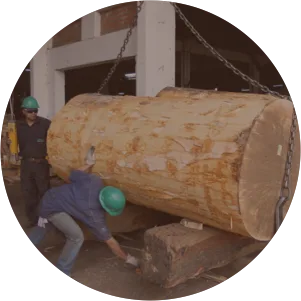 Best Plywood Manufacturing Company