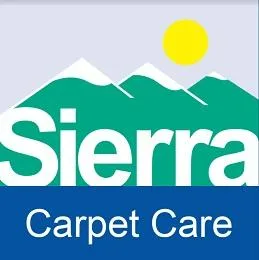 The Carpet Cleaning Pros