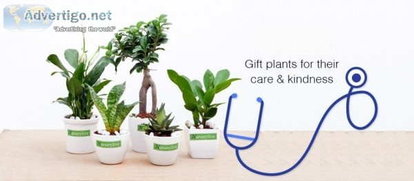 Finest artificial plant - Greenery by Doctor Plant