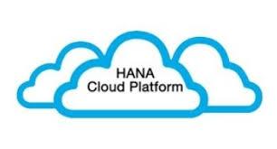Peol Solutions - Making Available SAP HANA Cloud integration Sol