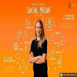 Website Development service In Noida