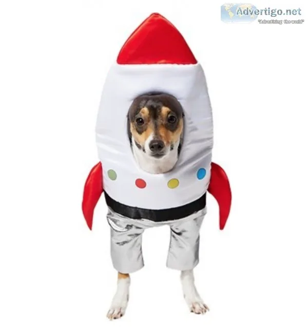 Spaceship Dog and Cat Costume