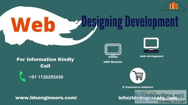 CMS Website  Web design Agency