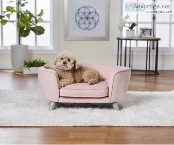 Enchanted Home Pet Romy Sofa Cat and Dog Bed wRemovable Cover Sm