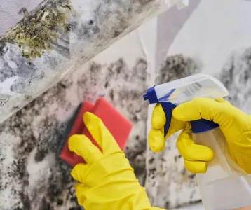 Mold Inspection Toronto - MoldTech
