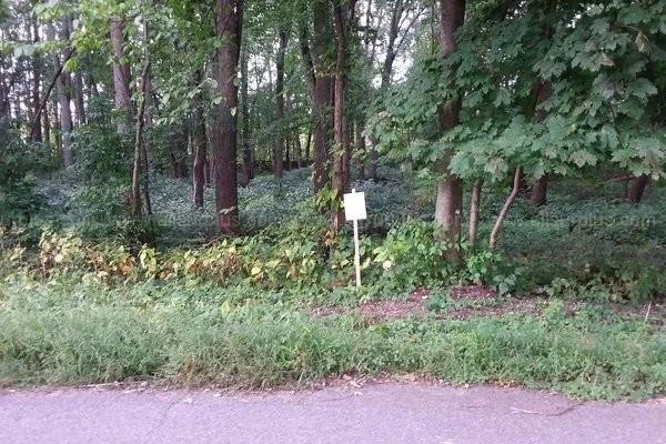 COMSTOCK PARK MICHIGAN WOODED WATERVIEW LOT ON GRAND RIVER