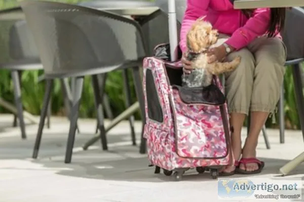 Petique 5-in-1 Airline-Approved Dog and Cat Carrier Backpack Pin