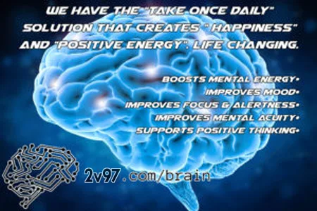Best of the top 10 brain supplements