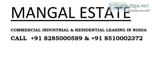 Office Shops Showrooms Available for rent in Noida Kindly call M