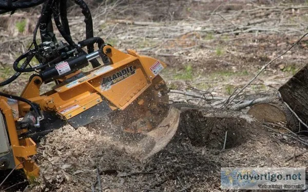 Stump Removal Service