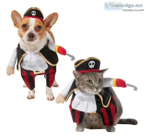 Pirate Dog and Cat Costume