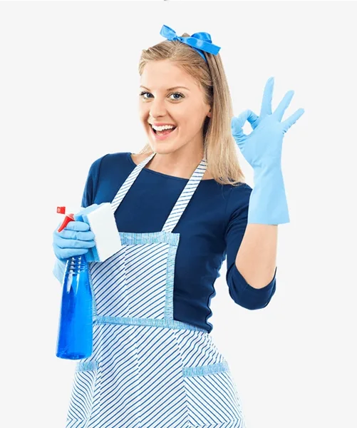 Living in Beacon and looking for professional cleaning services 