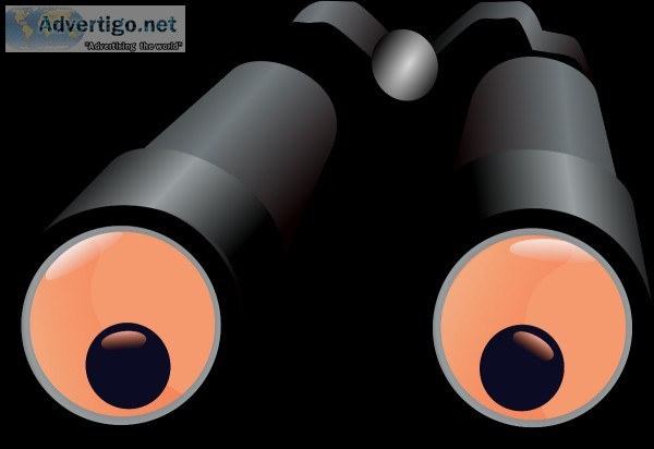 What are the Services offered by First Indian Detective Agency i
