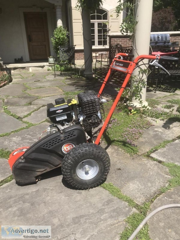 Stump Grinder almost new