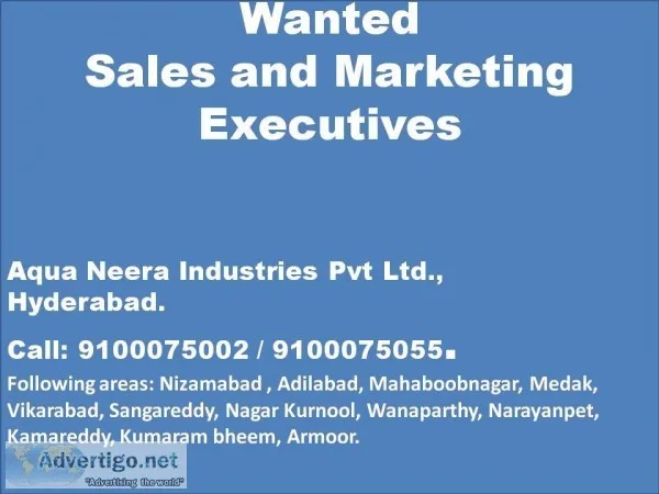 Wanted Sales and Marketing Executives