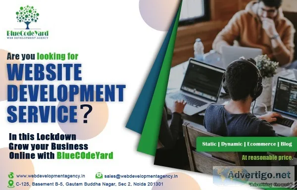 FLAT 10 PERCENT OFF ON WEBSITE DEVELOPMENT COMPANY IN NOIDA BLUE