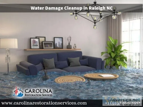 Best Water Damage Cleanup Service at Raleigh NC