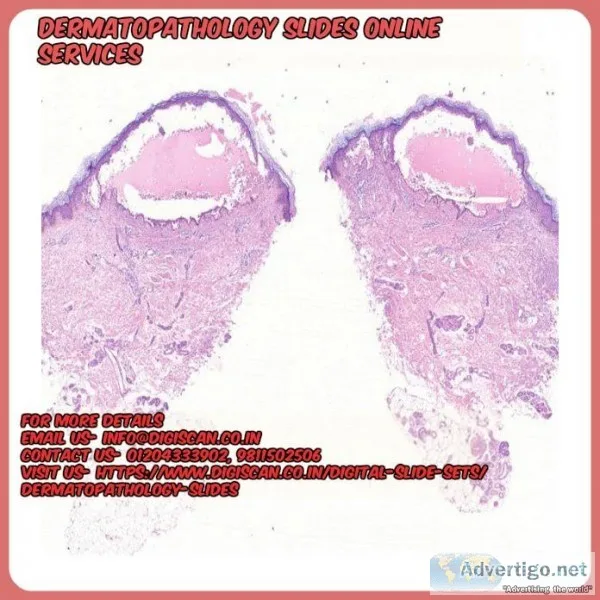 Dermatopathology slides