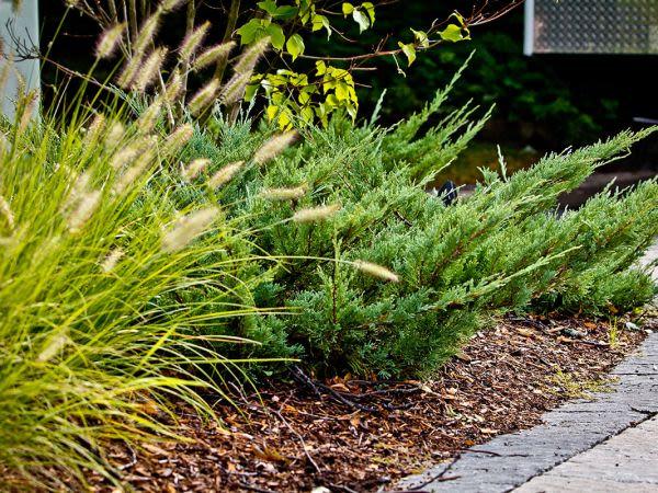 Oakville Landscaping Professionals - Scott s Landscaping