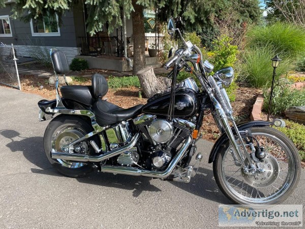 1997 Harley Davidson Springer Softail