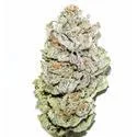 Banana Kush Seeds