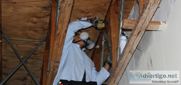 TERMITE CONTROL SERVICES IN GURGAON