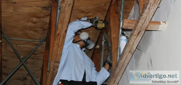TERMITE CONTROL SERVICES IN GURGAON