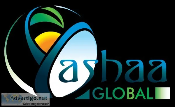 Website design jacksonville fl