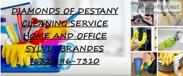 CLEANING SERVICE