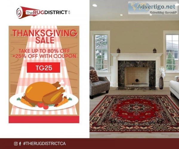 Buy Rugs for IndoorOutdoor Space at Lowest Price in Thanksgiving