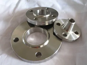 Hastelloy Flanges