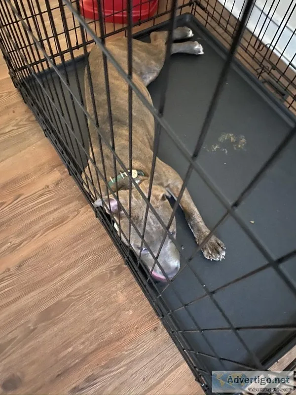 Looking for an home for diamond