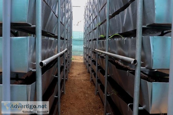 Soil Based vertical Farming