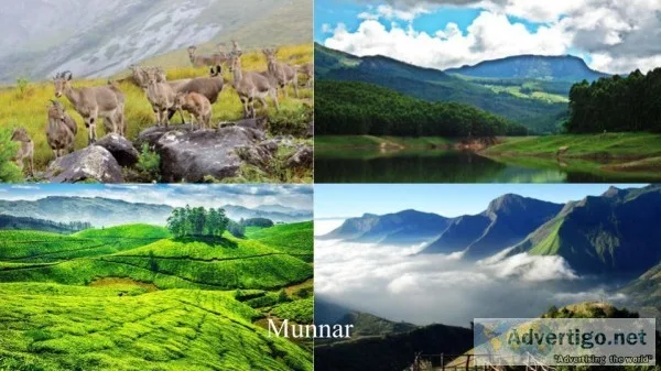 MUNNAR TOUR PACKAGES