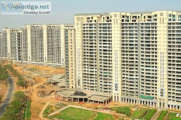 4 BHK for Rent in DLF The Magnolias Gurugram