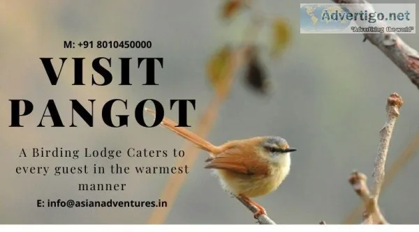 bird watching in india