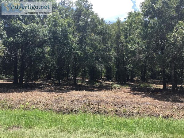 Gorgeous 1.25 acres