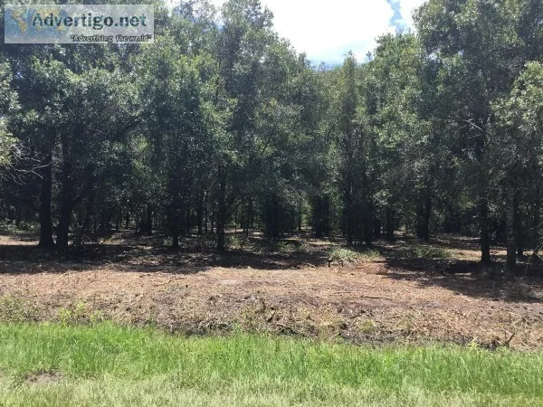 Gorgeous 1.25 acres