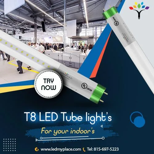 DO YOU GET FRUSTRATED WITH FLIES AROUND FLUORESCENT TUBE LIGHTS