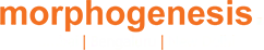 Top Architects in Bangalore
