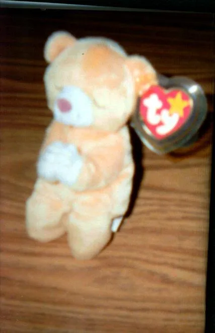 Hope - bear