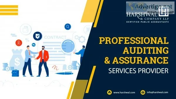 Professional Auditing and Assurance Services Provider in the USA
