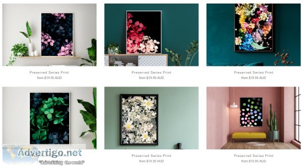 Buy Preserved Series Print