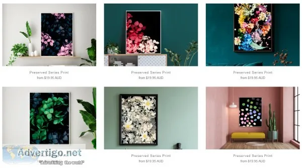 Buy Preserved Series Print