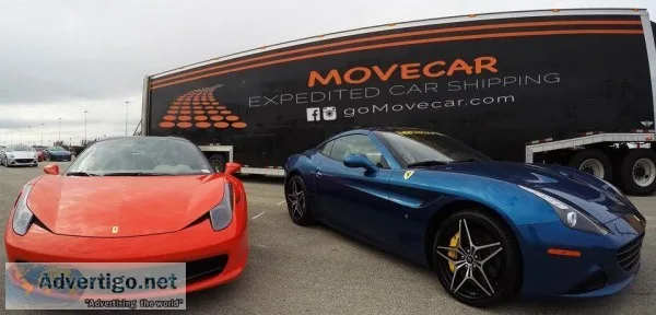 Move Car Auto Transport