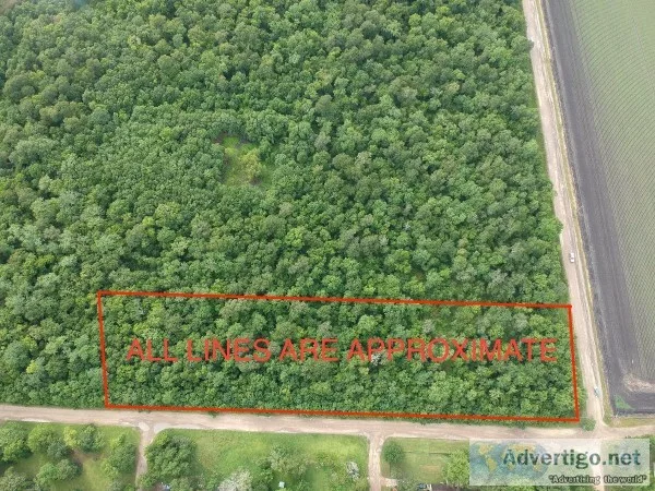 Huge Corner lot