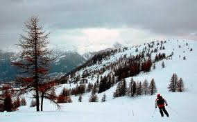 Kullu, manali & shimla volvo tour