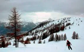 Kullu, manali & shimla volvo tour